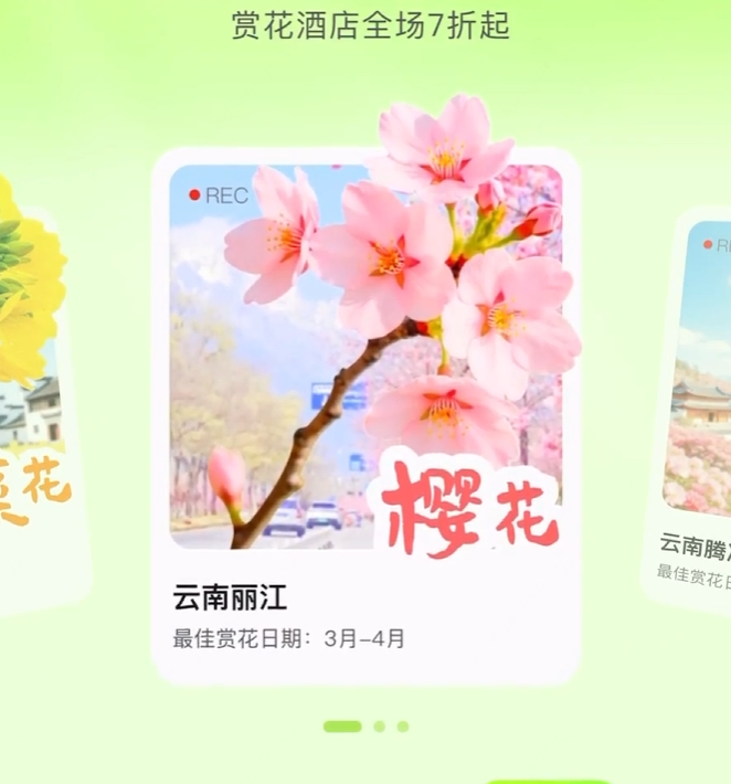 赏花目的地推荐